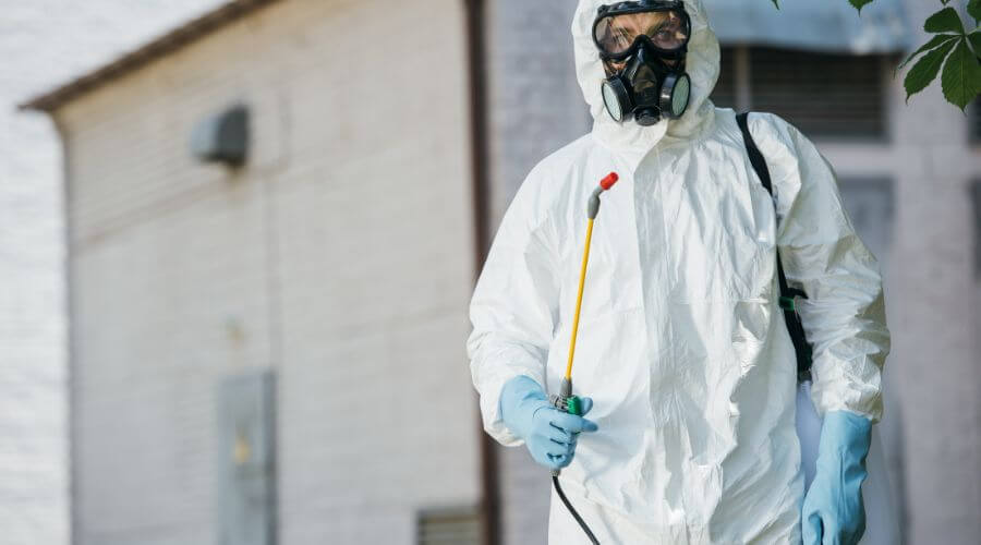 Professional pest control services in McKinney - Termites & Rodents Pest Control McKinney