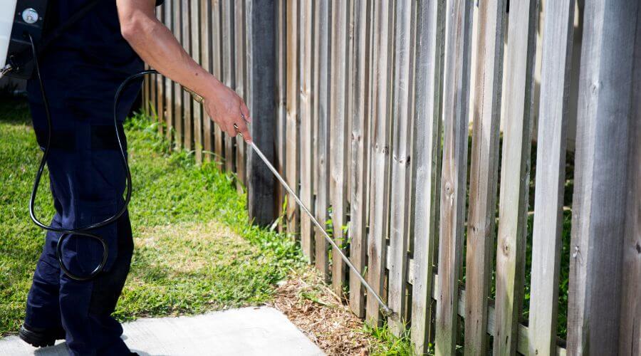 Why choose Termites & Rodents Pest Control McKinney for pest control in McKinney